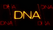 DNA Films