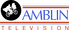 Amblin Television