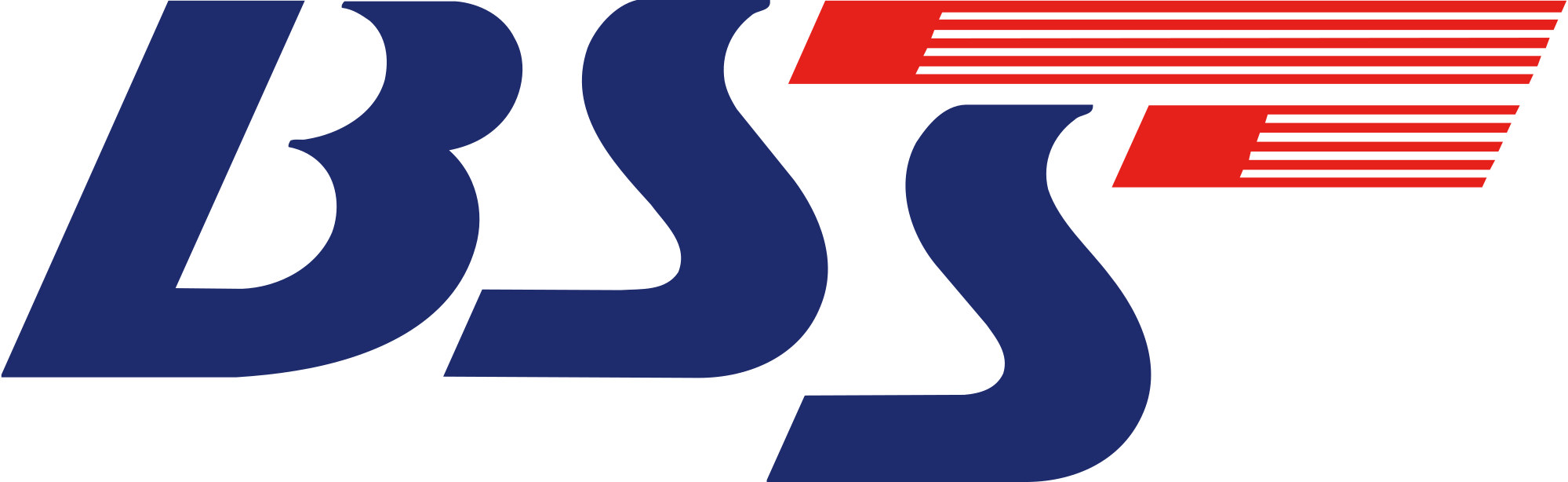 BSS