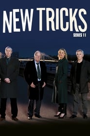 Series 11