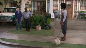 Poster for Welcome to the Rooster