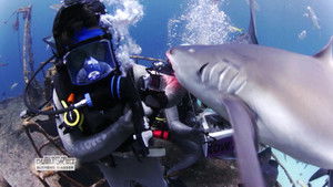 Poster for Episode 10