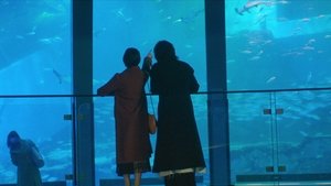 Poster for I Shouldn't Take a Step Forward, But Nevertheless