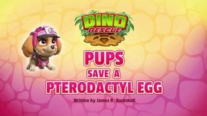 Poster for Dino Rescue: Pups Save a Pterodactyl Egg