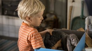 Poster for Episode 3