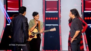 Poster for The Blind Auditions 5