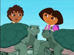 Poster for Save The Giant Tortoises