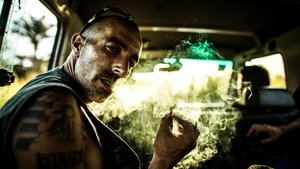 Poster for Kings of Cannabis & Into the Darkness