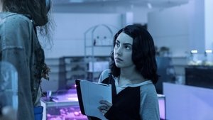 Poster for The Last Light