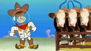 Poster for Rodeo Daze