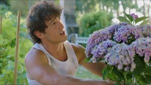 Poster for Episode 31