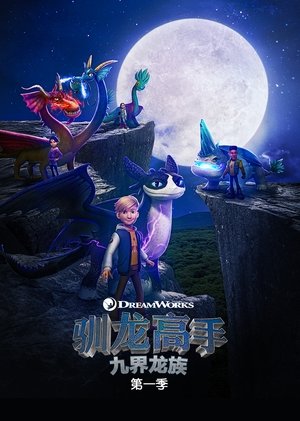 驯龙高手：九界龙族