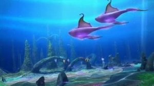 Poster for The Singing Whales