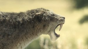 Poster for Grass Lands