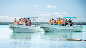 Poster for Episode 1