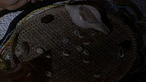 Poster for Chapter 29 Poster for Chapter 29