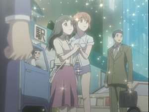 Poster for A Girl Falls in Love with a Girl