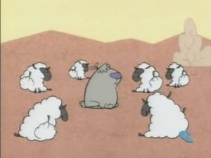Poster for Sheep Dogs