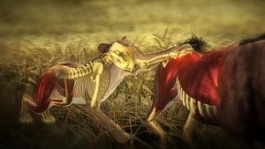 Poster for Moment of Impact: Hunters & Herds