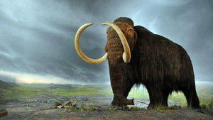 Poster for Episode 11