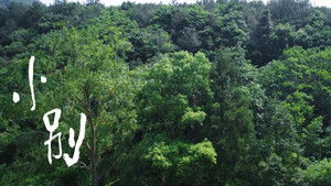 Poster for Episode 18