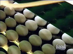 Poster for The Egg-Files