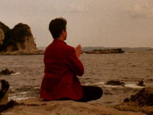 Poster for Combine! Aura of Life