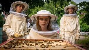 Poster for Bee murder