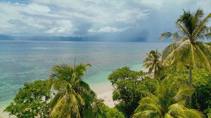 Poster for Episode 29