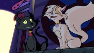 Poster for Tail of Two Kitties