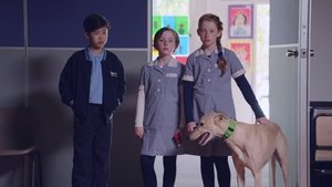 Poster for The Case of the Puzzling Pet Day / The Case of the Copy Cat