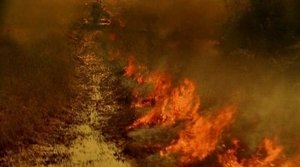 Poster for Slow Burn