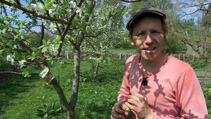 Poster for Episode 7