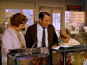 Poster for Hazel Needs a Car