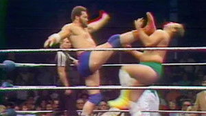 Poster for WWF Championship Wrestling - Nov. 29, 1980 Poster for WWF Championship Wrestling - Nov. 29, 1980