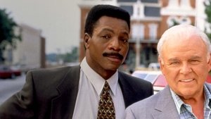 Poster for In the Heat of the Night: A Matter of Justice