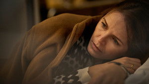 Poster for The Rombauts Family