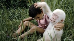 Poster for Snowflake: the White Gorilla