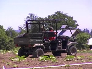 Poster for While Amy's Away... Poster for While Amy's Away...