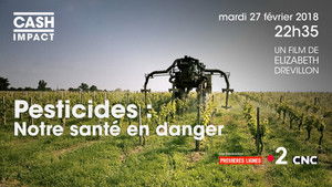 Poster for Cash Impact: Pesticides: our health in danger