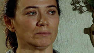 Poster for Episode 30