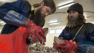 Poster for Beards in the Wind