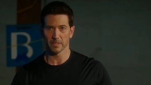 Poster for Into the Wilds