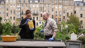 Poster for The Fall of the House of Crockett