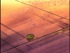 Poster for The Calm Before the Storm