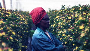 Poster for Flower Power