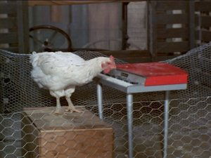 Poster for Everywhere a Chick Chick