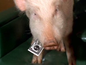 Poster for Arnold, Boy Hero Poster for Arnold, Boy Hero