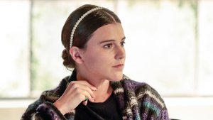 Poster for Collars for Dollars Poster for Collars for Dollars