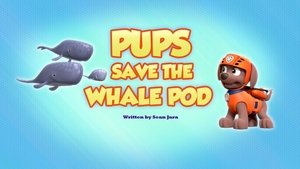 Poster for Pups Save the Whale Pod